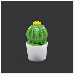 Kaktuszos persely  - 19 cm