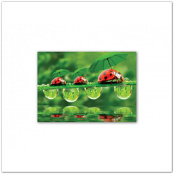 Katicás képeslap borítékkal - 11x15,5 cm 