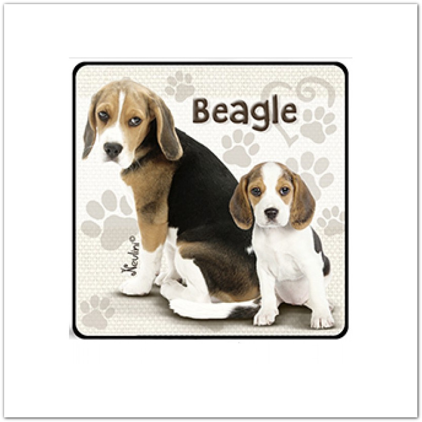 Kutyás hűtőmágnes - Beagle