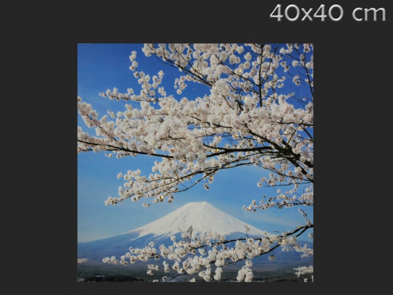 40 mini ledes vászon falikép, 40cm-es, Fuji cseresznyefa-virágzáskor